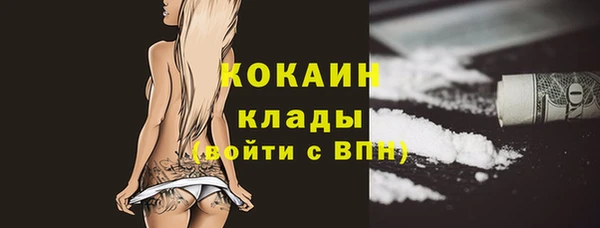 альфа пвп Горнозаводск