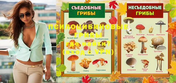 альфа пвп Горнозаводск